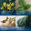 apoth-kary-essential-energy-bundle-6.jpg
