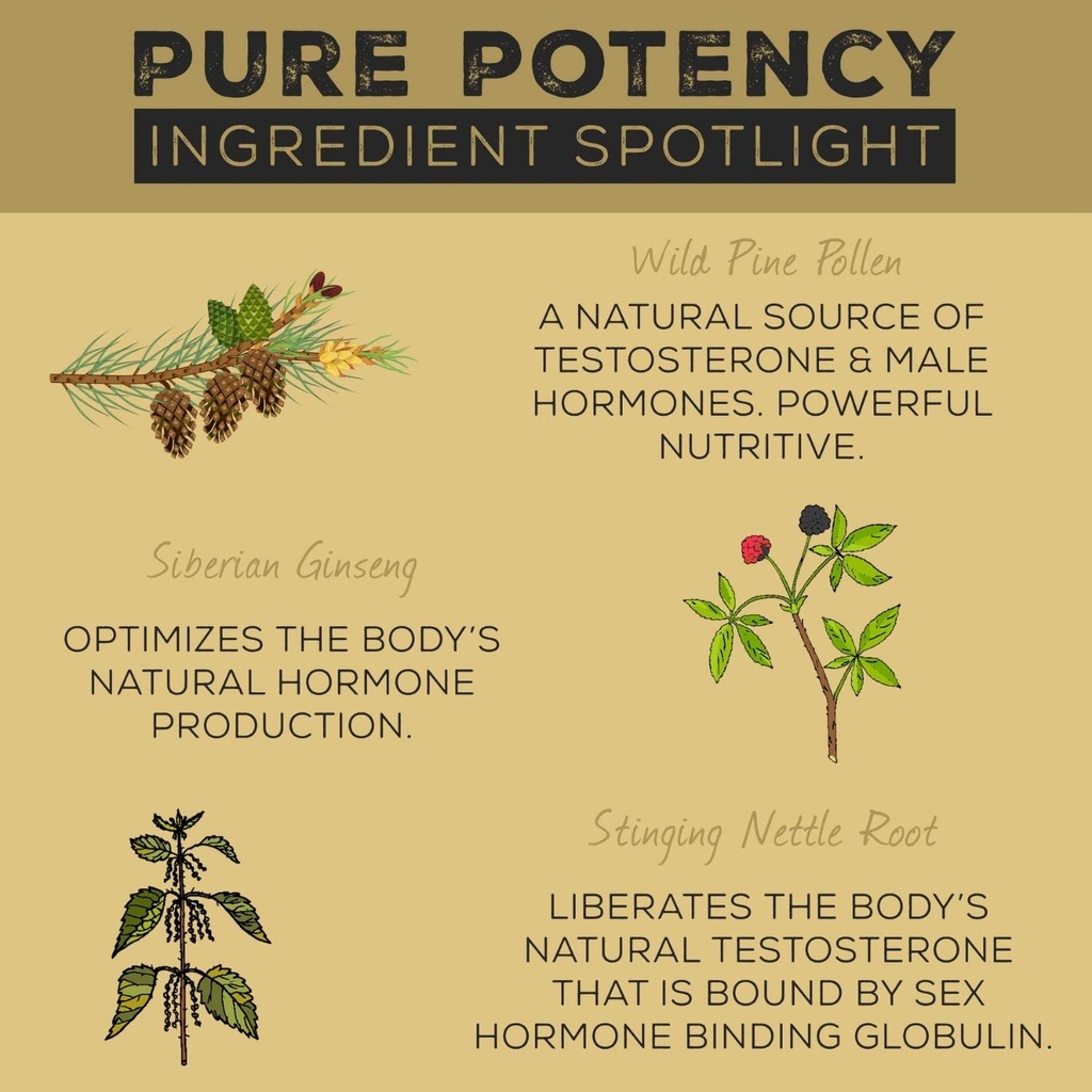 surthrival-pine-pollen-pure-potency-extr-3.jpg