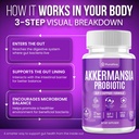 akkermansia-probiotic-with-prebiotic-chi-4.jpg