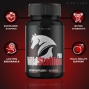 rize-labs-men-s-wild-stallion-pro-capsul-4.jpg