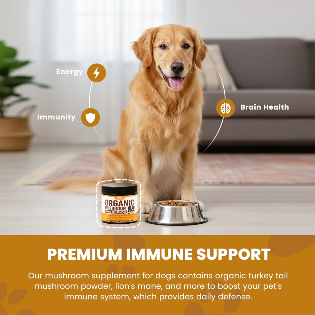 turkey-tail-mushroom-for-dogs-supplement-6.jpg