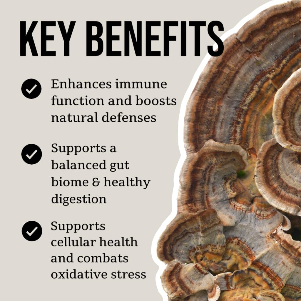 north-spore-organic-turkey-tail-tincture-4.jpg