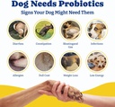 probiotics-for-dogs---dog-probiotics-for-6.jpg
