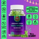 generic-nyum-nutrition-ultra-r-7-organic-2.jpg