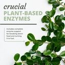 optimal-health-systems-digest-a-meal-gut-5.jpg