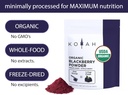koyah---organic-blackberry-powder-30-ser-3.jpg