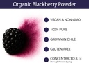 koyah---organic-blackberry-powder-30-ser-4.jpg