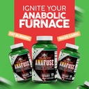 vital-alchemy-anafuse-turkesterone-suppl-4.jpg