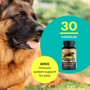 american-biosciences-nk-9-ahcc-supplemen-3.jpg