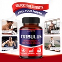 tribulus-terrestris-98-saponins---enhanc-3.jpg