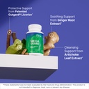 microbiome-labs-megaguard-gut-health-sup-4.jpg