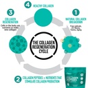 phinaturals-hydrolyzed-collagen-powder-s-5.jpg