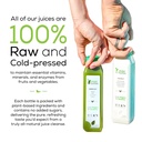 3-day-green-juice-cleanse-by-raw-fountai-4.jpg