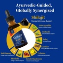 shilajit-drops-with-ashwagandha-guduchi--3.jpg