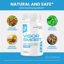 vigor-smart-brain-booster-pills-advanced-5.jpg