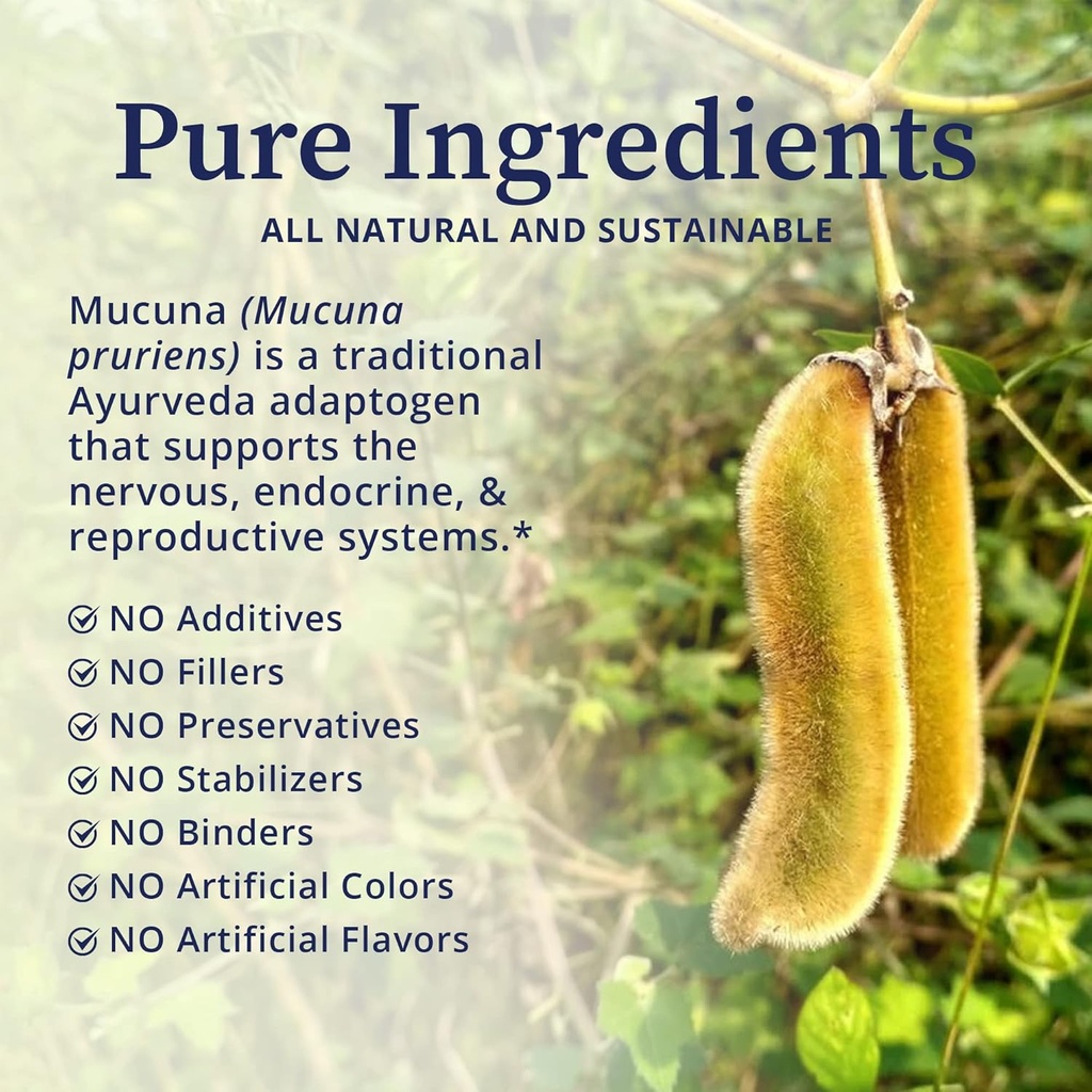 biopure-certified-organic-mucuna-bean-po-3.jpg