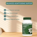 black-queen-rhodiola-rosea-capsules-500m-6.jpg