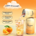 recess-mood-magnesium-supplement-drink-c-6.jpg