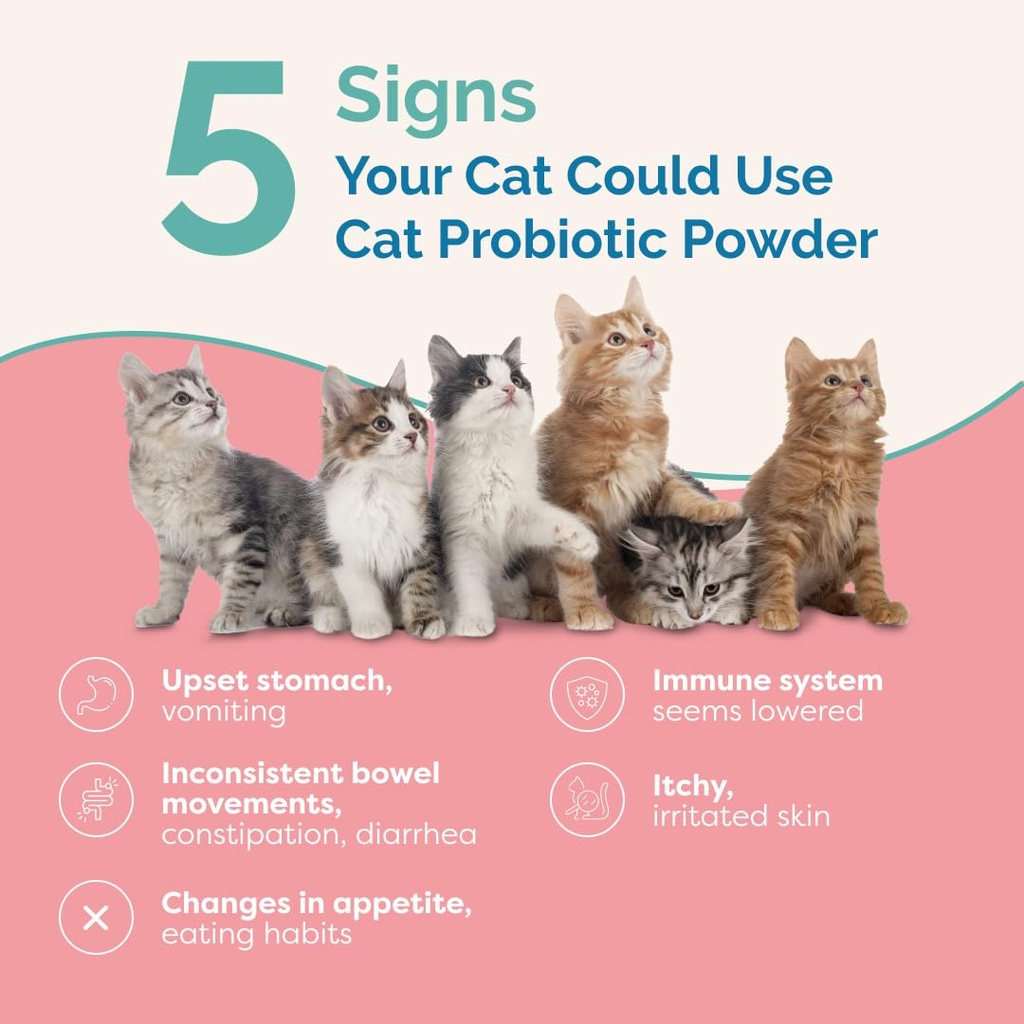 pranapets-cat-probiotic-powder-digestive-2.jpg