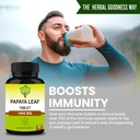 papaya-leaf-tablets-90-tablets-1000-mg-4-5.jpg