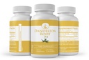 pure-original-ingredients-dandelion-root-4.jpg