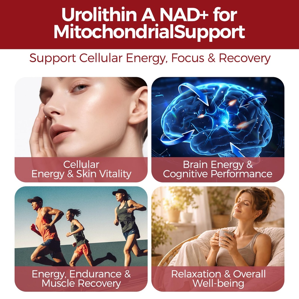 urolithin-a-supplement-with-trans-resver-2.jpg
