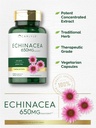 carlyle-echinacea-650mg-120-capsules-veg-4.jpg