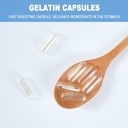 size-00-empty-gelatin-capsules-separated-4.jpg
