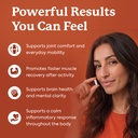 turmeric-capsules-x1-5.jpg
