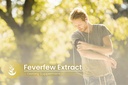 pure-original-ingredients-feverfew-extra-5.jpg