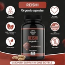 organic-reishi-mushroom-capsules-supplem-2.jpg