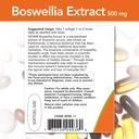 now-foods-boswellia-extract-500-mg-softg-3.jpg