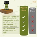 organic-spree-kaishor-guggulu-120-tablet-6.jpg