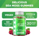 vitamatic-irish-sea-moss-gummies-3000-mg-4.jpg