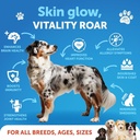 salmon-oil-for-dogs---omega-3-for-dogs---2.jpg