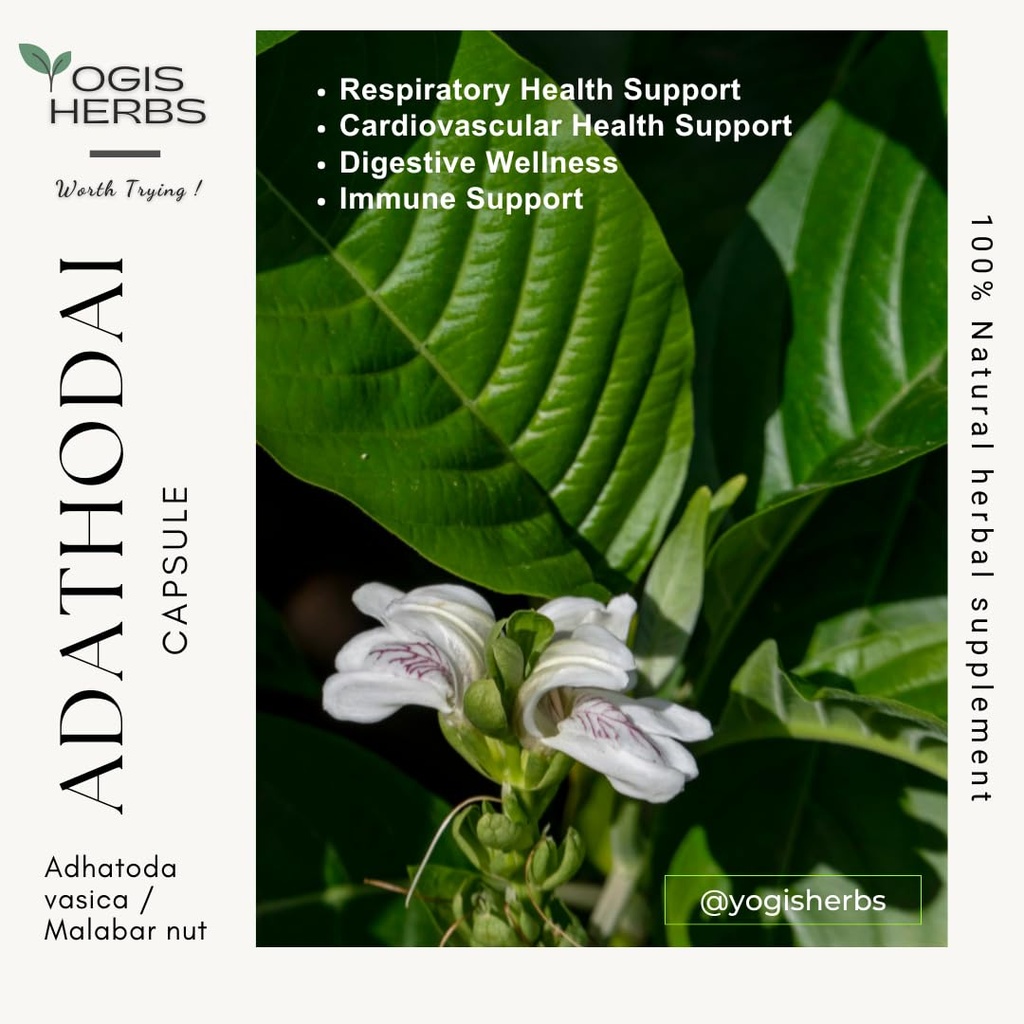 yogis-herbs-adathodai-capsules-adhatoda--5.jpg