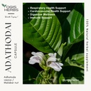 yogis-herbs-adathodai-capsules-adhatoda--5.jpg