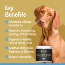 k9-innovations---daily-skin-coat-dog-che-4.jpg