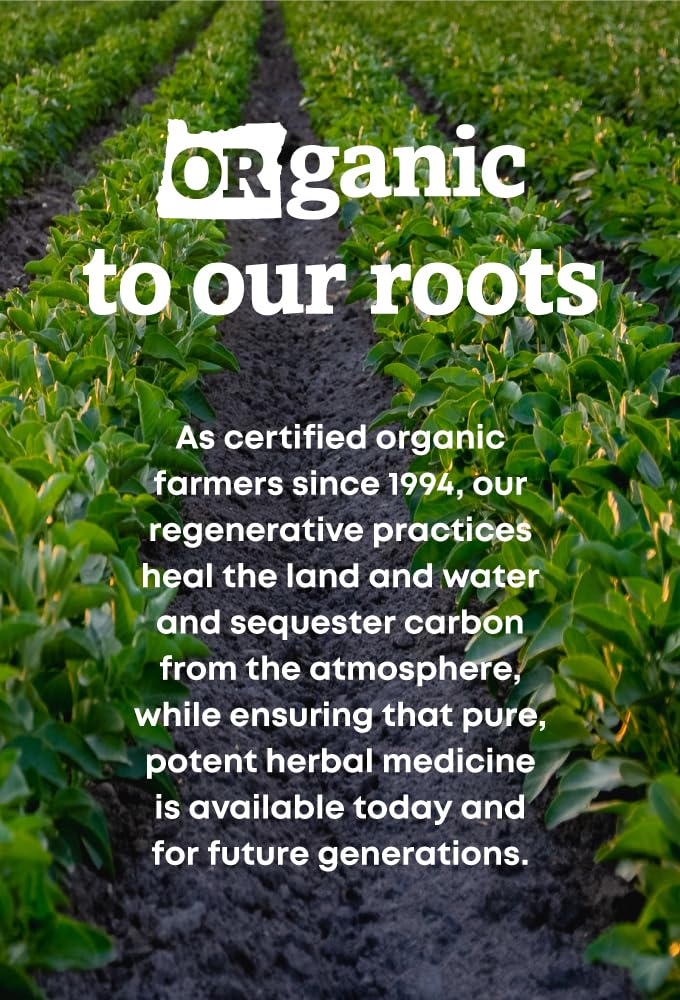 oregon-s-wild-harvest-lion-s-mane-organi-6.jpg