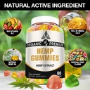 hemp-gummies-for-sleep-pain-anxiety-reli-2.jpg