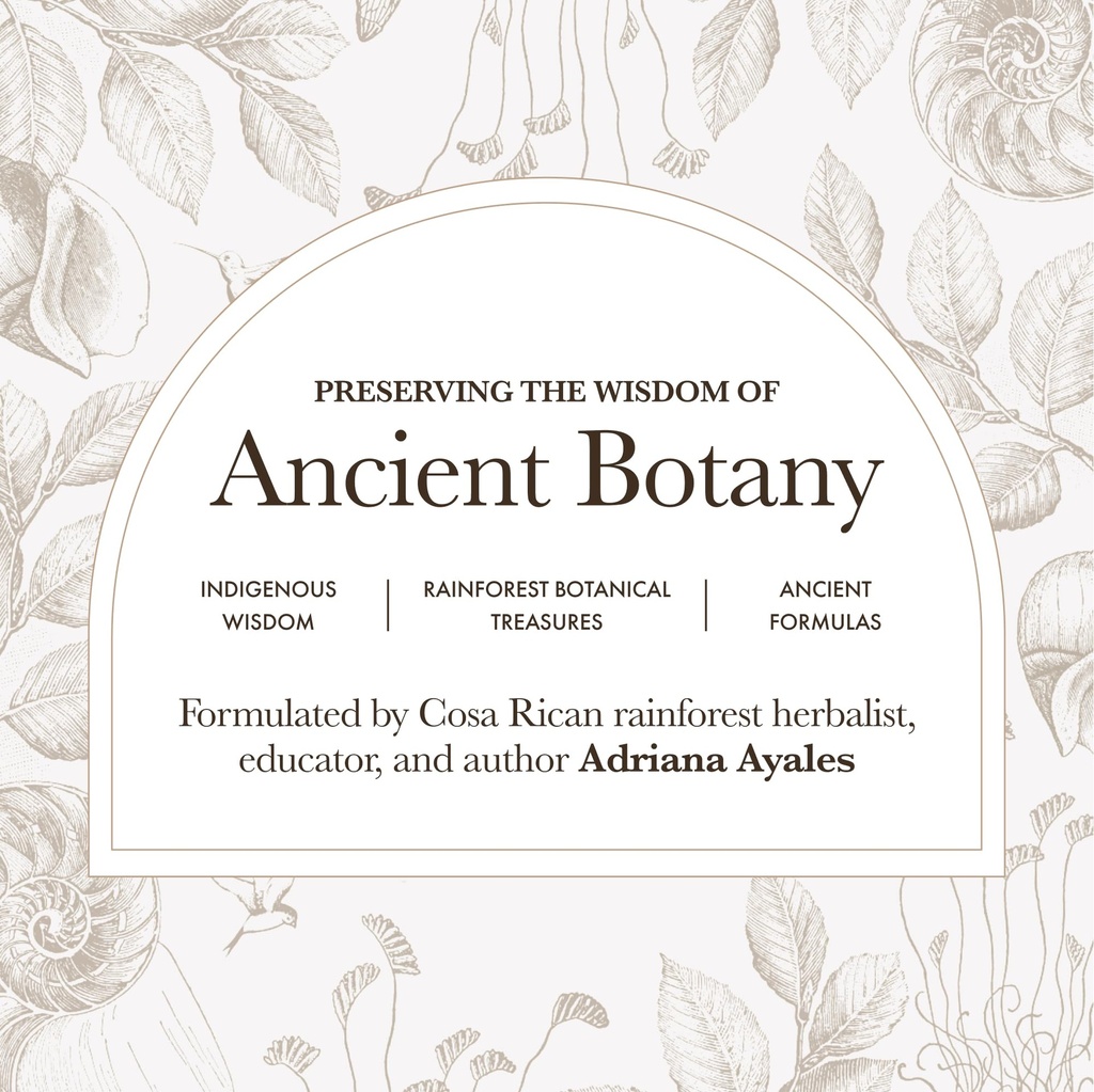 anima-mundi-apothecary-cerebrum-brain-to-6.jpg