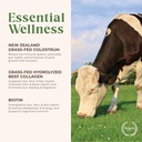 grass-fed-colostrum-collagen-powder-gut--4.jpg