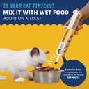 under-the-weather-pet-ready-cal-for-kitt-3.jpg
