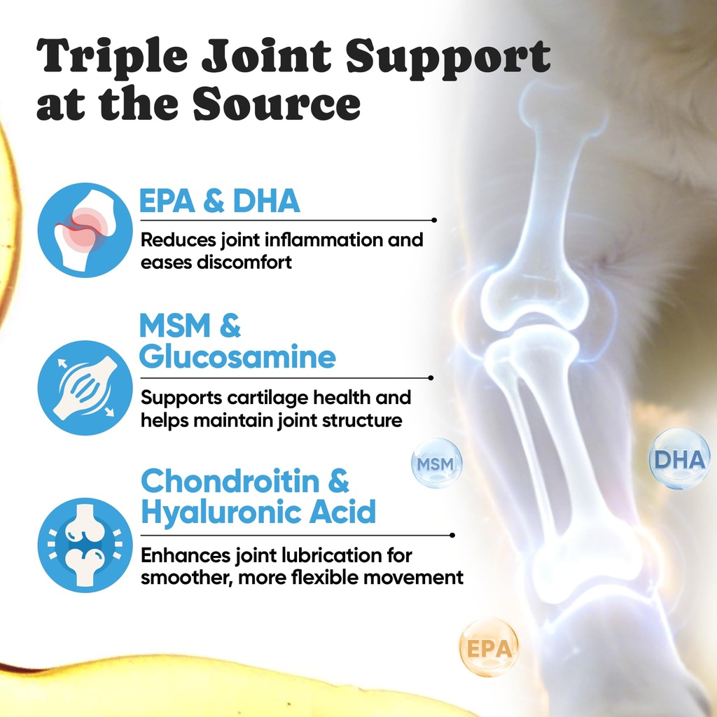 omega-3-for-dogs-salmon-oil-for-dogs-ski-4.jpg