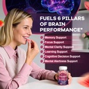 migcopat-dual-brain-support-capsules-gum-5.jpg