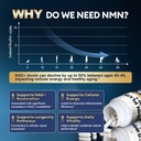 migcopat-magnesium-complex-nmn-supplemen-5.jpg