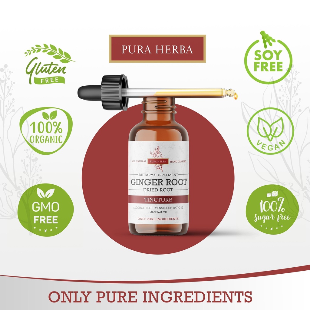 pura-herba-ginger-root-liquid-drops-orga-3.jpg