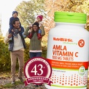 nutribiotic-amla-vitamin-c-60-tabs-rich--4.jpg