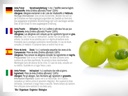 dr-wakde-s-amla-fruit-powder-amalaki-emb-6.jpg