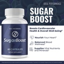 ideal-performance-sugarboost-capsules-su-4.jpg